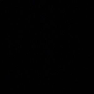 Meet your Posher, Isabel